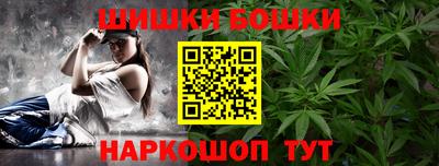 индика Гусь-Хрустальный