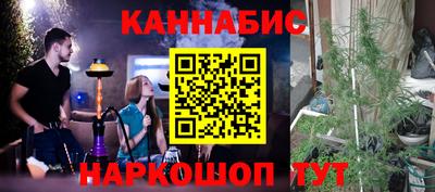 индика Гусь-Хрустальный