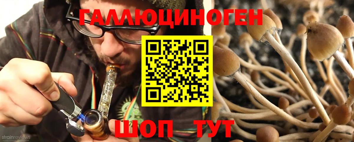 Галлюциногенные грибы Cubensis  Псилоцибиновые грибы мицелий  Вход с VPN  Лянтор 